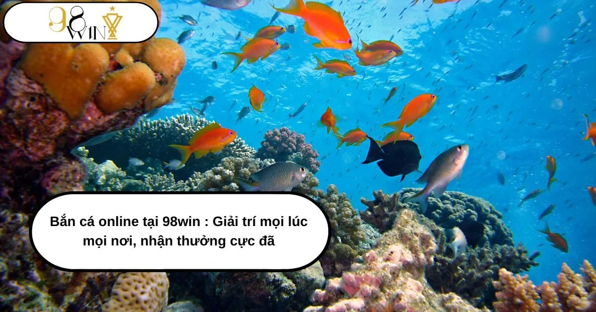 Bắn Cá Online Tại 98win : Thế Giới Giải Trí Đỉnh Cao, Thưởng Lớn Không Ngừng