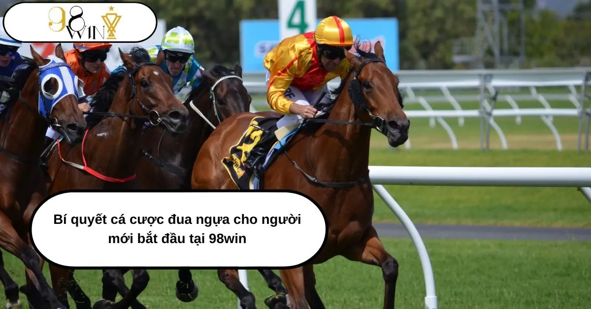 Bí quyết cá cược đua ngựa cho người mới bắt đầu tại 98win: Hướng dẫn A-Z